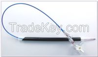 Nephrostomy Balloon Dilator
