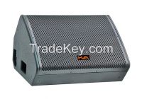 Professional Loudspeaker
