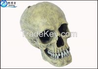 Skull Cool Fish Tank Decorations Aquarium Resin Ornament 