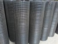 Welded Wire Mesh hot dip galvanized