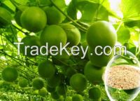 Luo Han Guo Extract Momordica grosvenori Extract 80% Mogroside