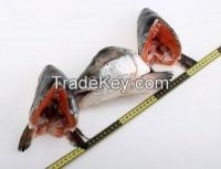 Fish Head