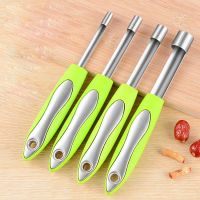 Stainless Steel Core Remover Tool Apple Slicer And Cherry Fruit Corer For Home Use