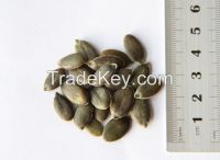 Pumpkin seed grown without shell grade AA
