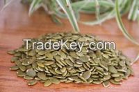 China Northwest Shine Skin Pumpkin Seed Kernels AA