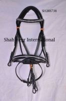 Leather Bridle From India