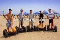 adult electric scooter, self-balancing two wheel scooter withPb and Li battery From China