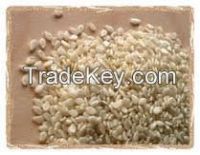 Sesame Seeds