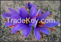 Saffron
