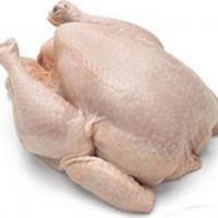 Frozen Whole Chicken