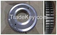 Spur Gear