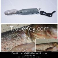 Electric fish scaler