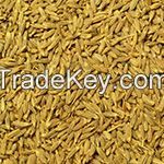 Cumin