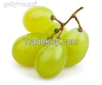 Green Sugar One Grape