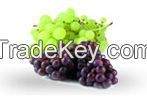 Fresh Grapes