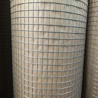 welded  wire mesh  From China