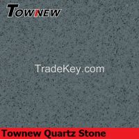 Gray Star TNS-8211