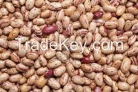 White kidney beans, pinto beans,  Small red kidney beans