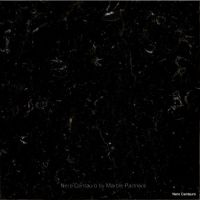 Nero Centauro Black Marble