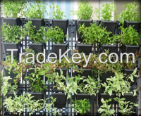 Vertical Garden