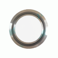 Nuclear Spiral Wound Gasket