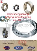 Double Row Angular Contact Ball Bearing