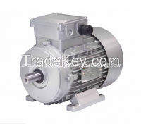 Aluminum casting AC Electric Motor