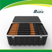 Large Plastic Ammo Case,gun Case