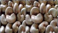 RAW CASHEW NUTS IN SHELL