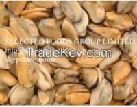 Mussel Meat
