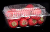 Plastic Food Trays From China