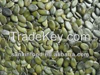 Pumpkin Seeds grow without shell Grade A, AA, AAA