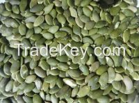 pumpkin seed