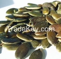 GWS Pumpkin Seeds grow without shell