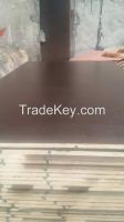 hot selling film faced plywood