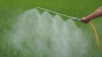 Powered Engine Sprayer