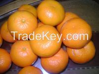 Mandarin