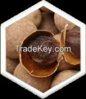 Euphoria Longan Fruit Extract