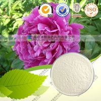 100% Natural Paeoniflorin 8%~98%