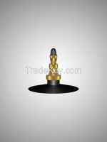 TRUCK VALVE TR218A From China