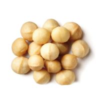 Organic Macadamia Nuts Whole Natural Macadamia Nuts Best Choice For Healthy Eating And Gourmet Snacks In Bulk Supply From Cameroon
