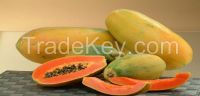 Fresh Papaya