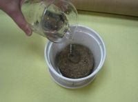 Peat moss tablets Ø85mm
