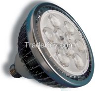LED Par Light