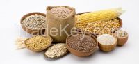 Grains And Pastas