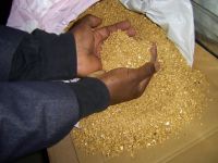 AU GOLD DUST & GOLD BARS / NUGGETS POWDER 