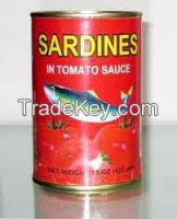 Canned Sardines in Tomato Sauce