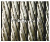  6*25Fi+IWRC oil steel wire rope From China