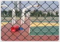 Chain Link Fence From China