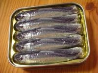 Canned Sardine